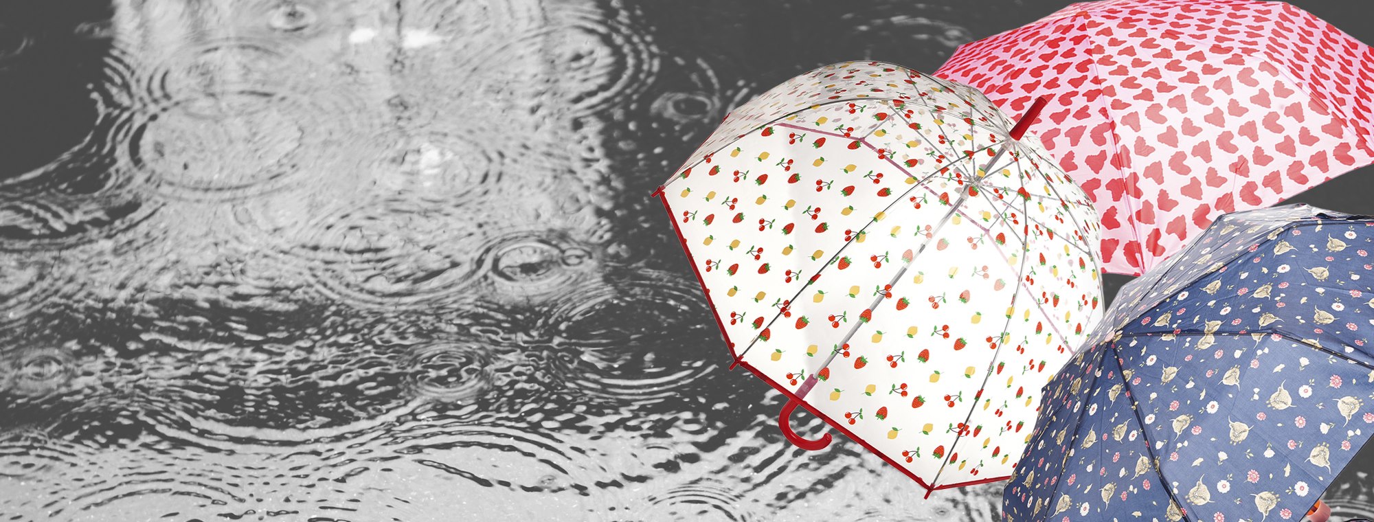 New Season Umbrellas